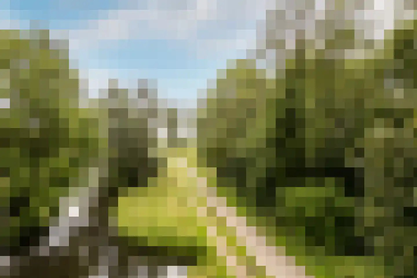 Klein Hitland 56 Nieuwerkerk aan den IJssel thumbnail 37