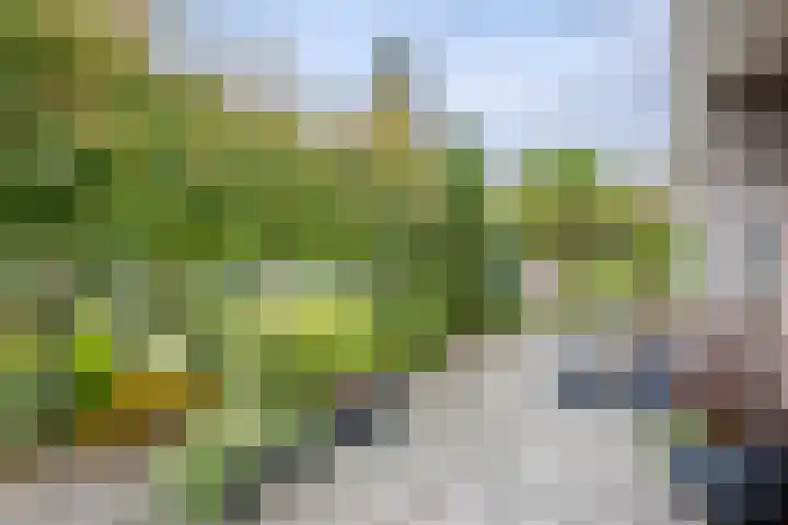 Klein Hitland 56 Nieuwerkerk aan den IJssel thumbnail 38