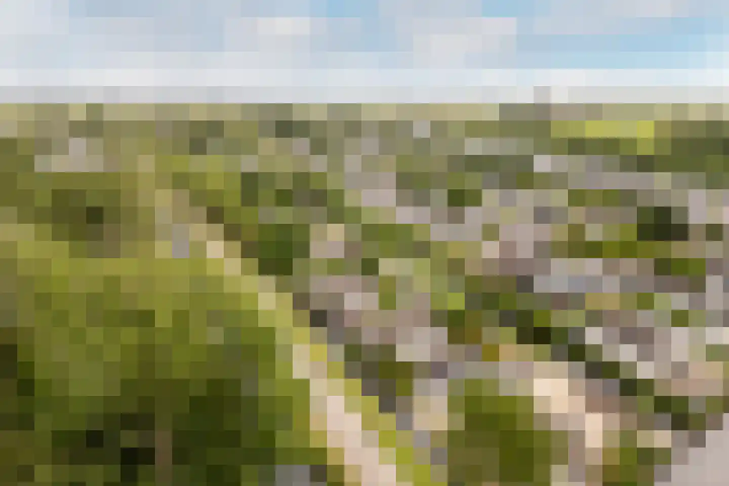 Klein Hitland 56 Nieuwerkerk aan den IJssel thumbnail 38