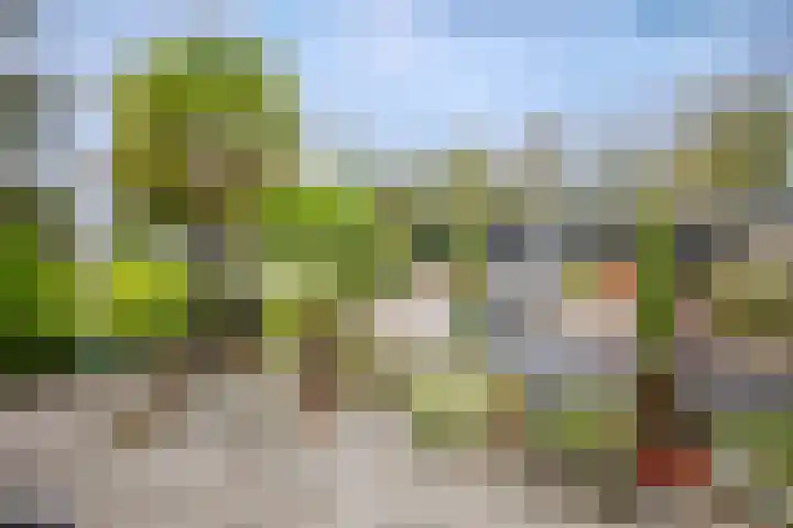 Klein Hitland 56 Nieuwerkerk aan den IJssel thumbnail 39