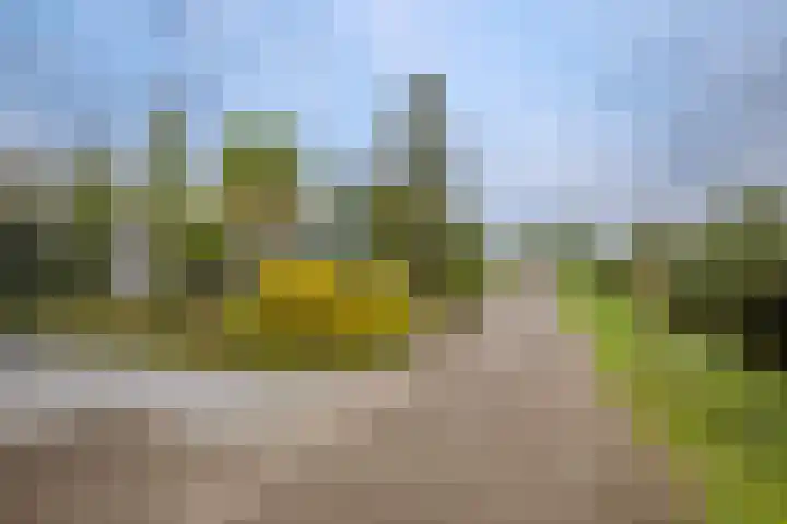 Klein Hitland 56 Nieuwerkerk aan den IJssel thumbnail 43