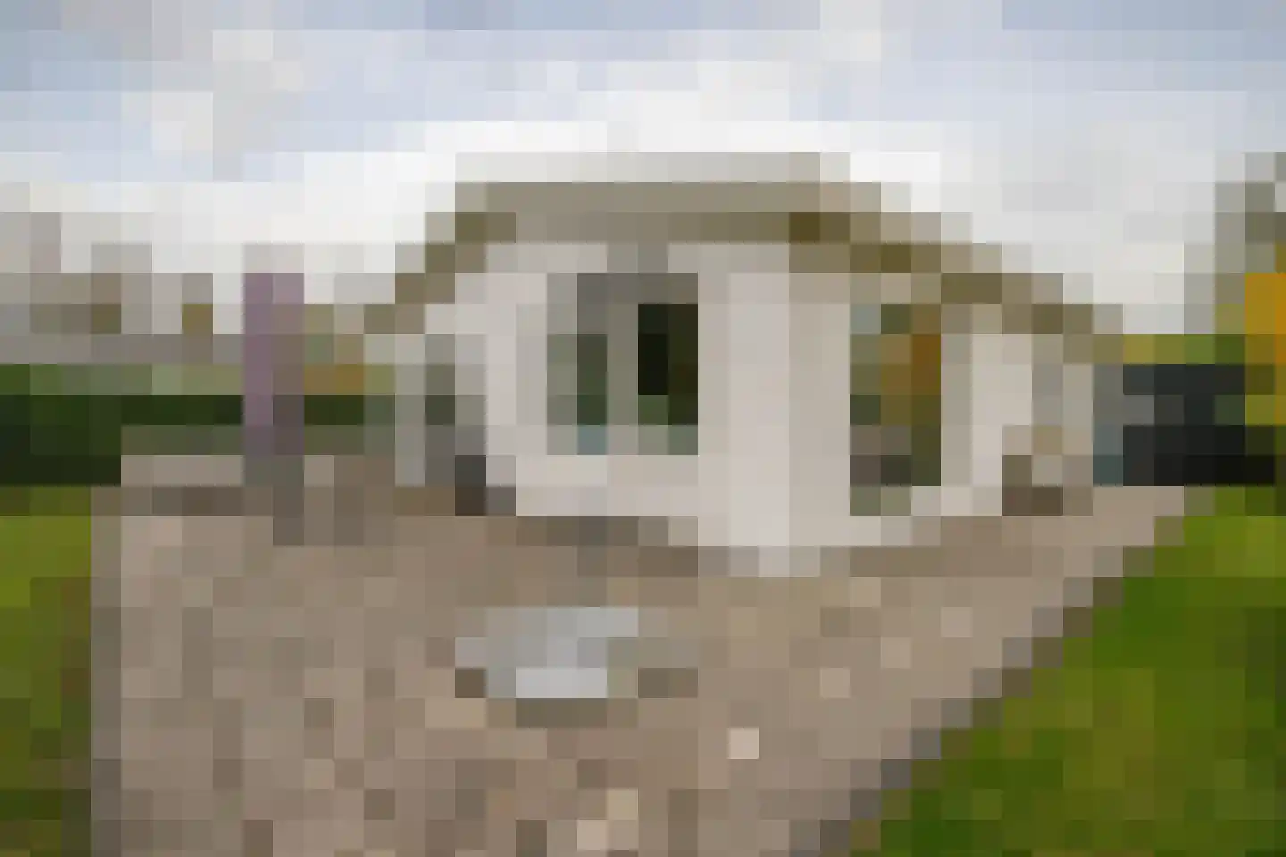 Klein Hitland 59 Nieuwerkerk aan den IJssel thumbnail 30