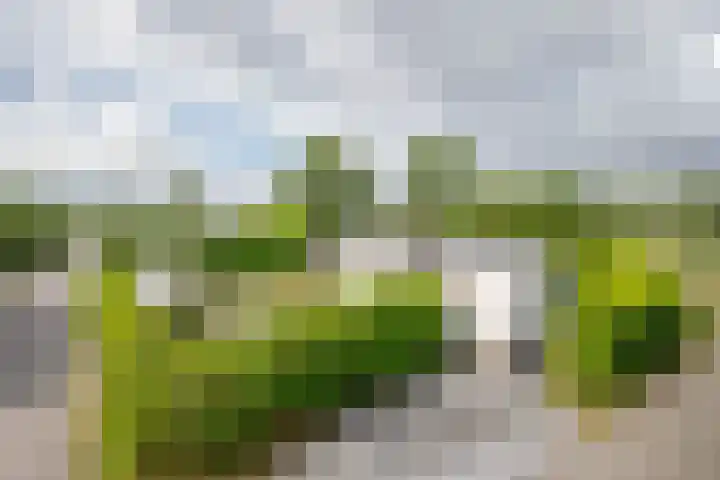 Klein Hitland 99 Nieuwerkerk aan den IJssel thumbnail 19