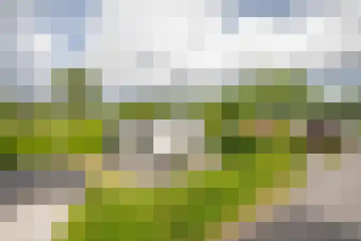 Klein Hitland 99 Nieuwerkerk aan den IJssel thumbnail 4