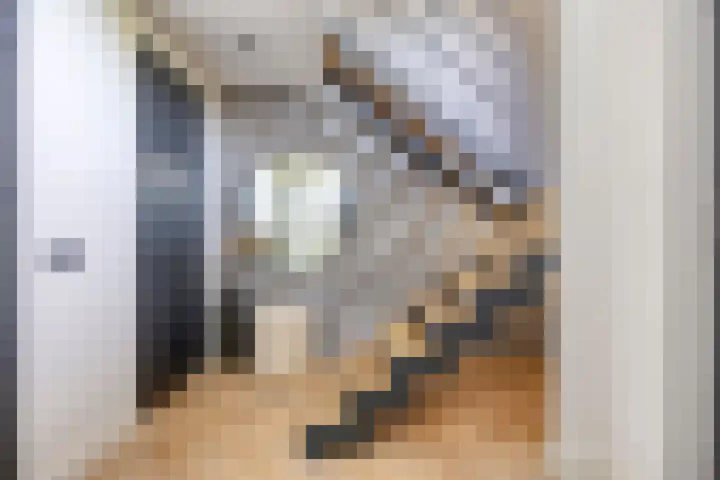 Klein Hoefblad 17 Uden thumbnail 10