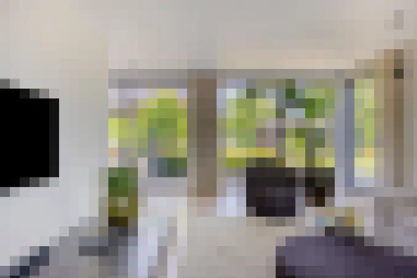 Klein Hoefblad 17 Uden thumbnail 18