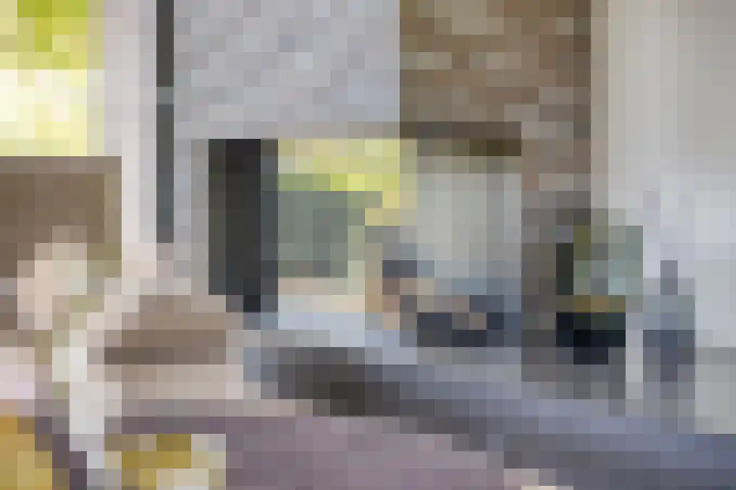 Klein Hoefblad 17 Uden thumbnail 20