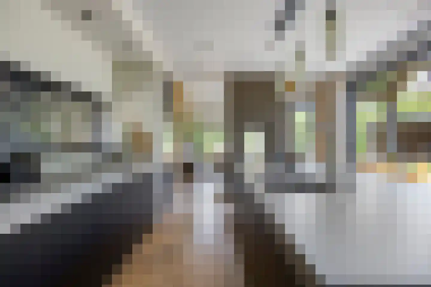 Klein Hoefblad 17 Uden thumbnail 23