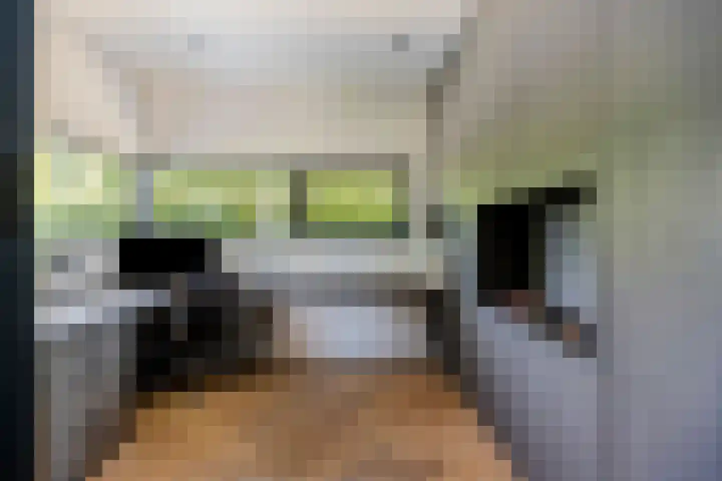 Klein Hoefblad 17 Uden thumbnail 31