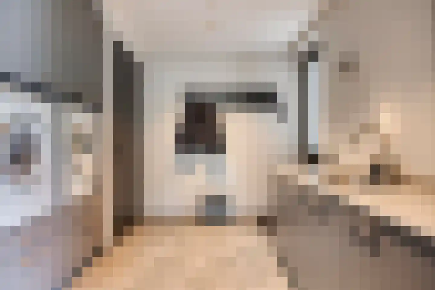 Klein Hoefblad 17 Uden thumbnail 33