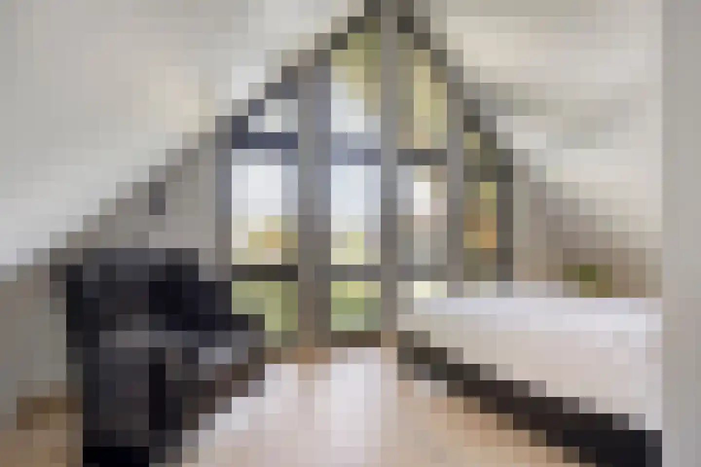 Klein Hoefblad 17 Uden thumbnail 39