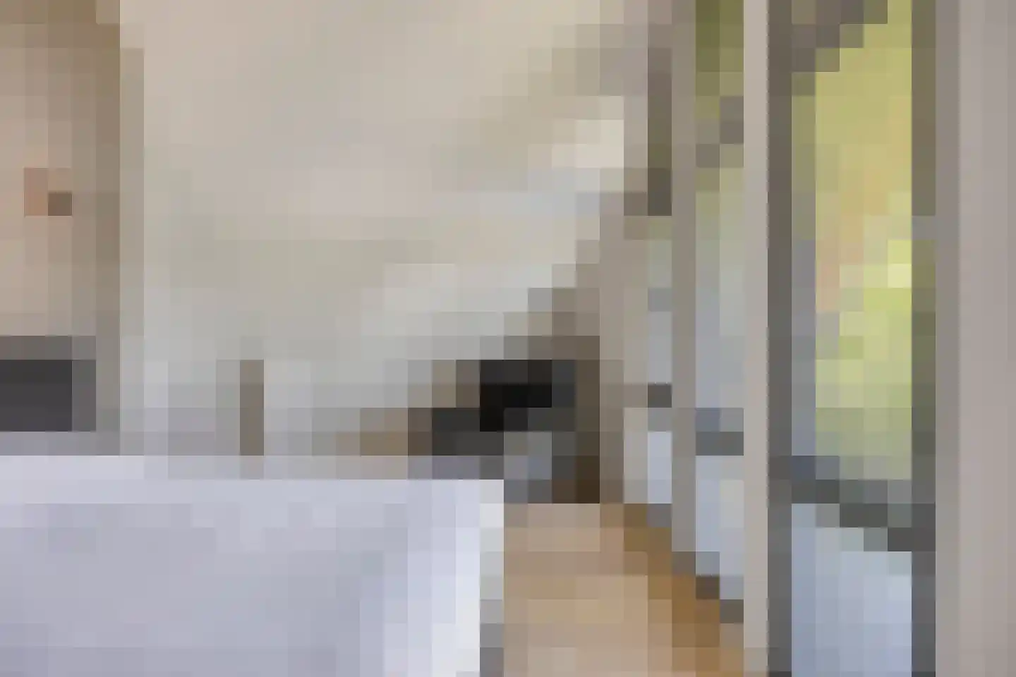 Klein Hoefblad 17 Uden thumbnail 41