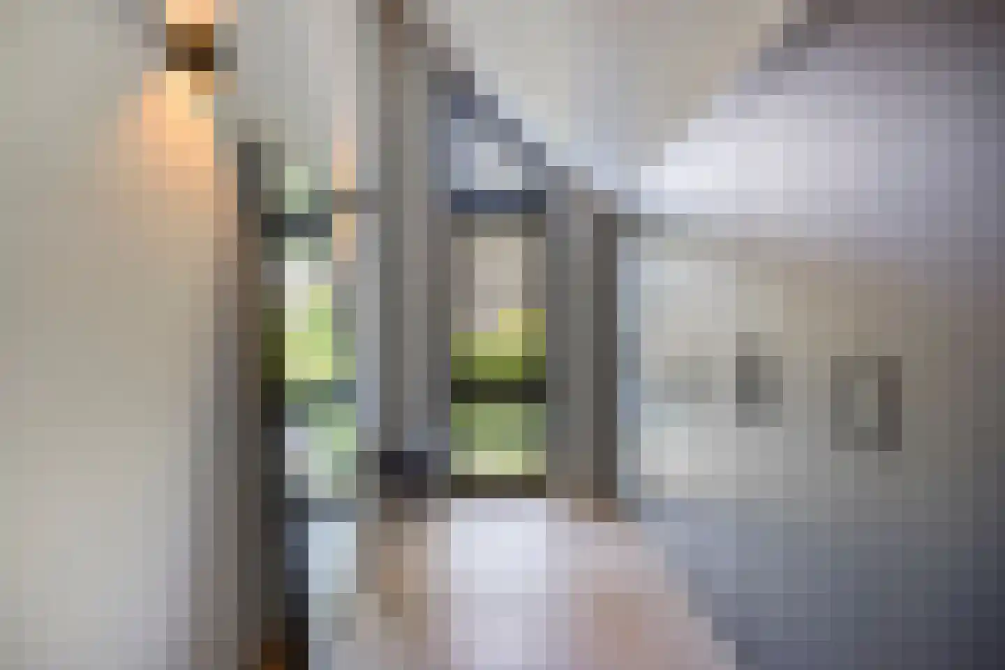Klein Hoefblad 17 Uden thumbnail 48