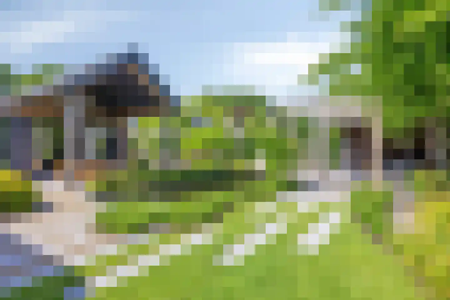 Klein Hoefblad 17 Uden thumbnail 54