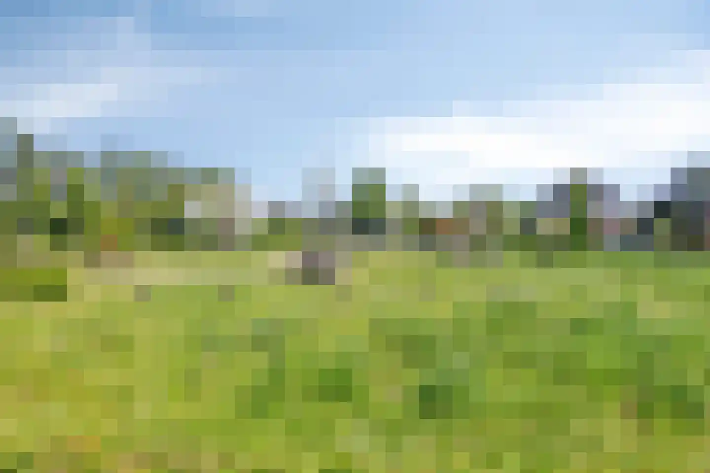 Klein Hoefblad 17 Uden thumbnail 72