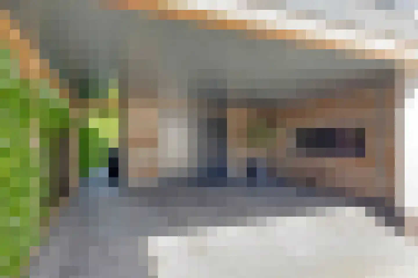 Klein Hoefblad 17 Uden thumbnail 8