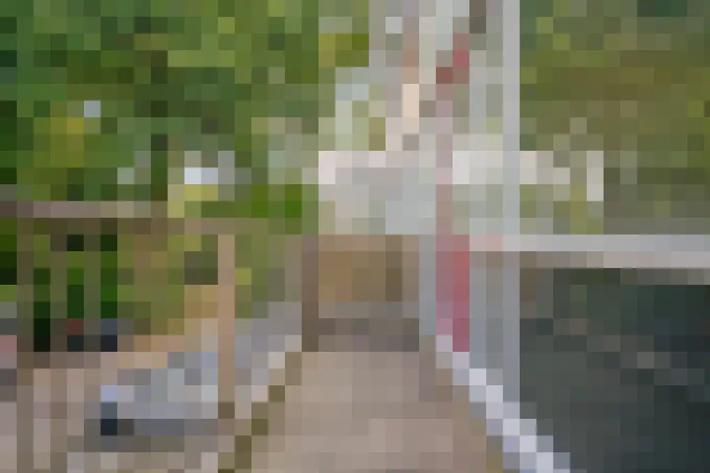 Klein Hoefblad 28 Uithoorn thumbnail 14