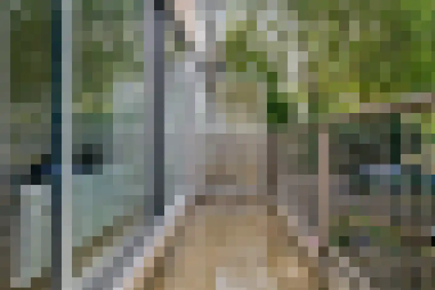 Klein Hoefblad 28 Uithoorn thumbnail 17
