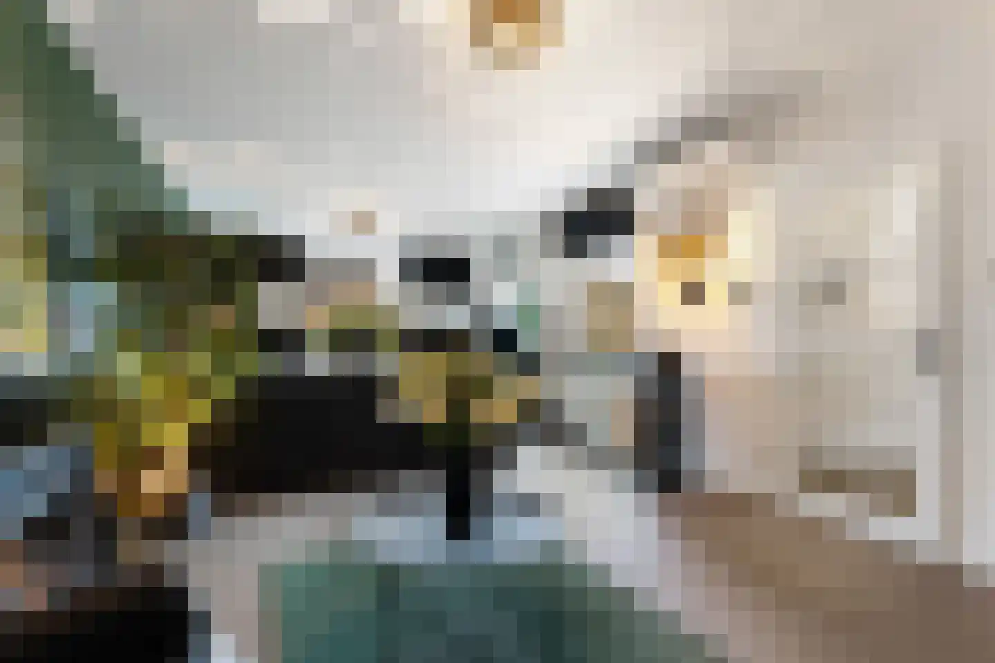 Klein Holtum 17 Buchten thumbnail 10