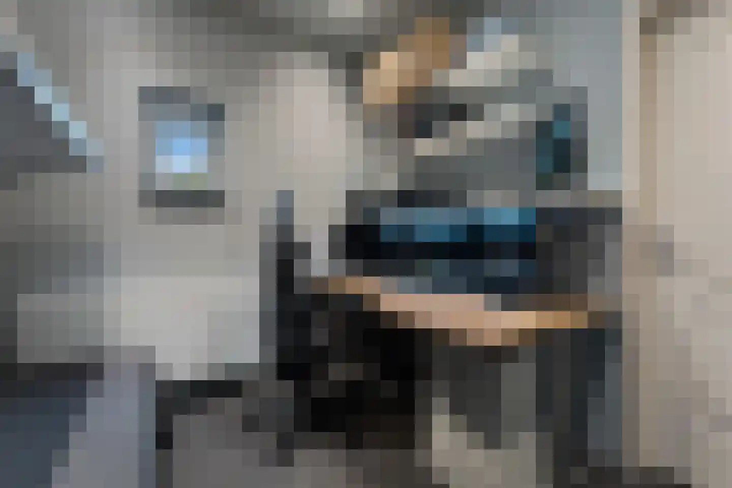 Klein Holtum 17 Buchten thumbnail 17