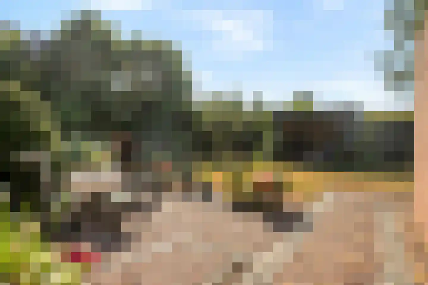 Klein Kanaalweg 20 Westdorpe thumbnail 31