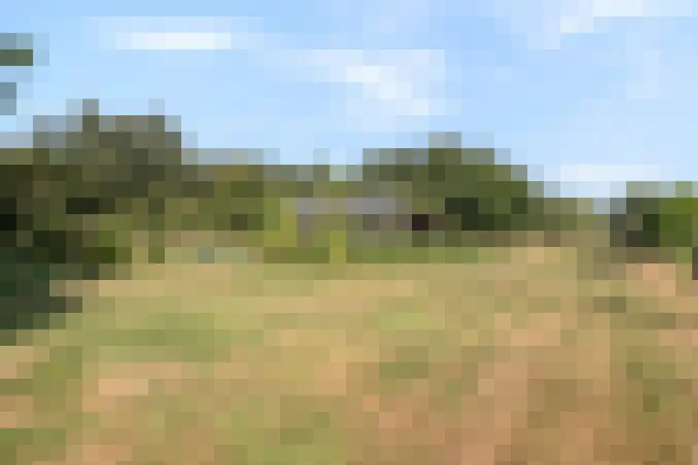 Klein Kanaalweg 20 Westdorpe thumbnail 38