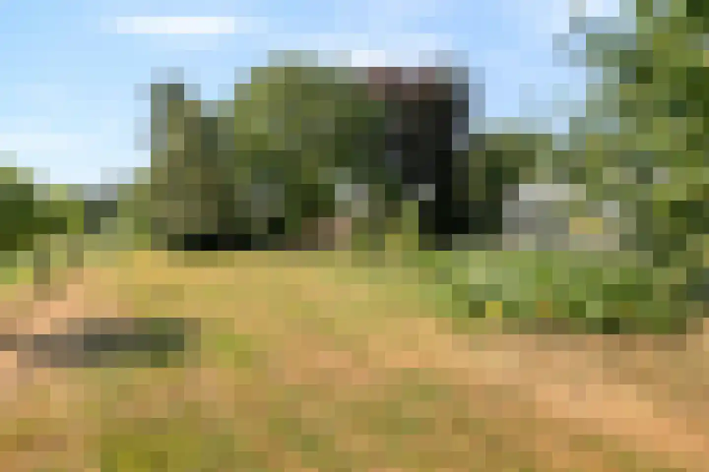Klein Kanaalweg 20 Westdorpe thumbnail 39