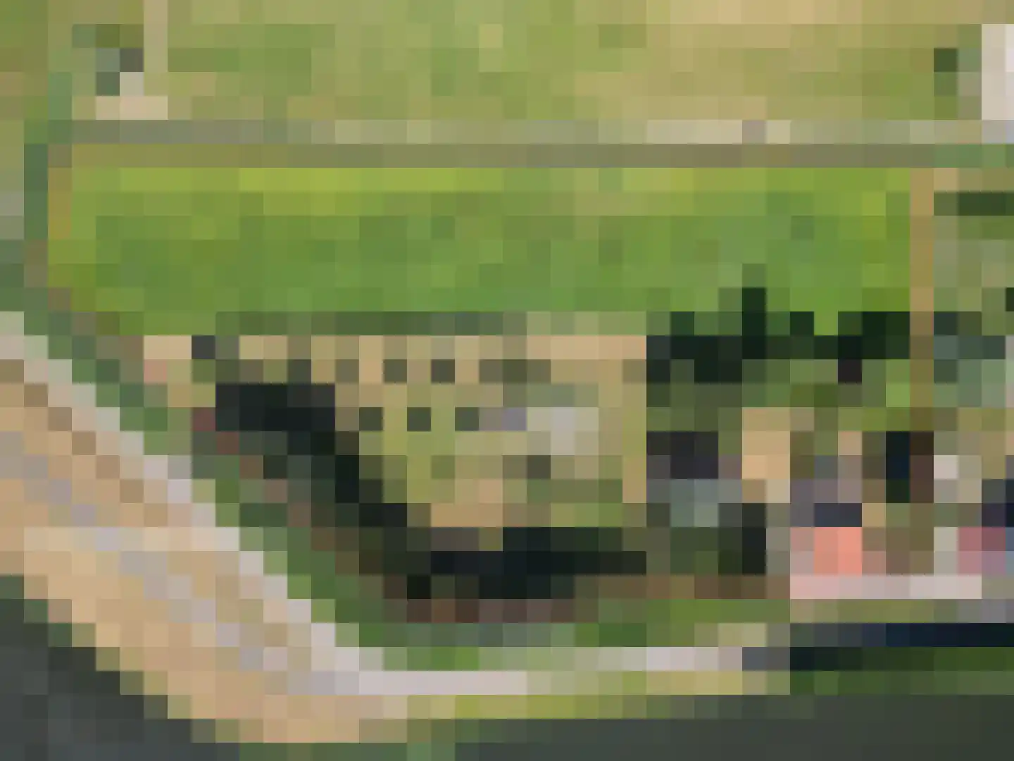 Klein Kanaalweg 20 Westdorpe thumbnail 4