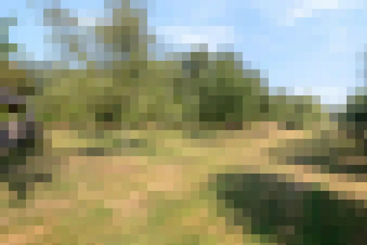 Klein Kanaalweg 20 Westdorpe thumbnail 40