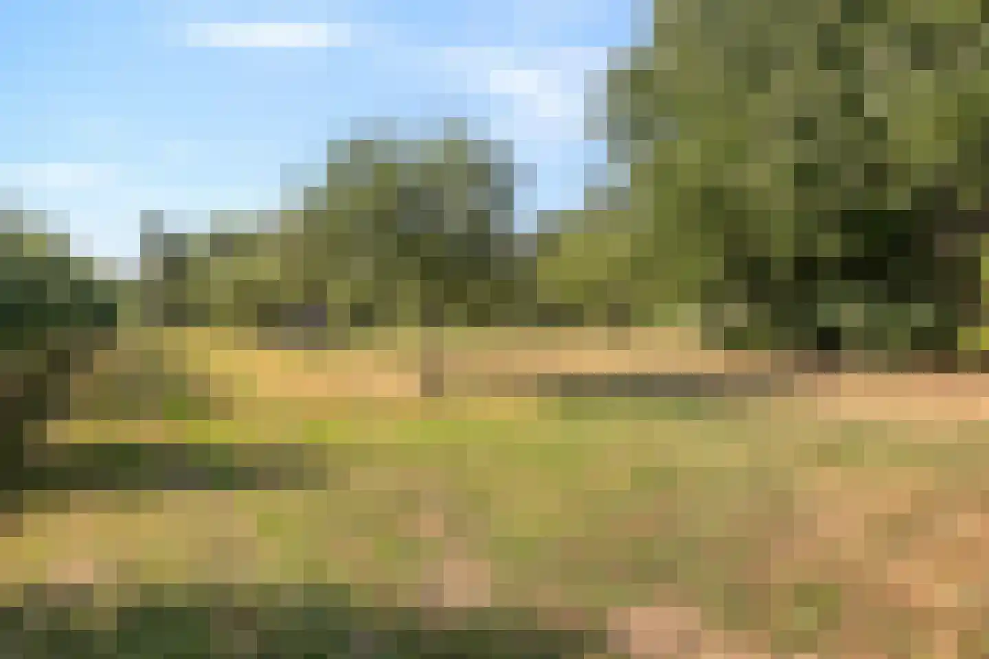 Klein Kanaalweg 20 Westdorpe thumbnail 41