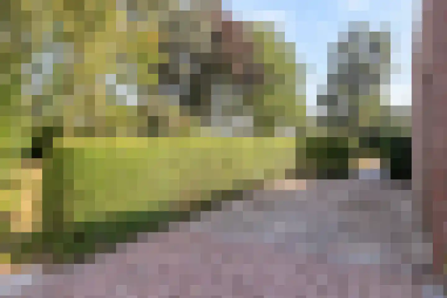 Klein Kanaalweg 20 Westdorpe thumbnail 45
