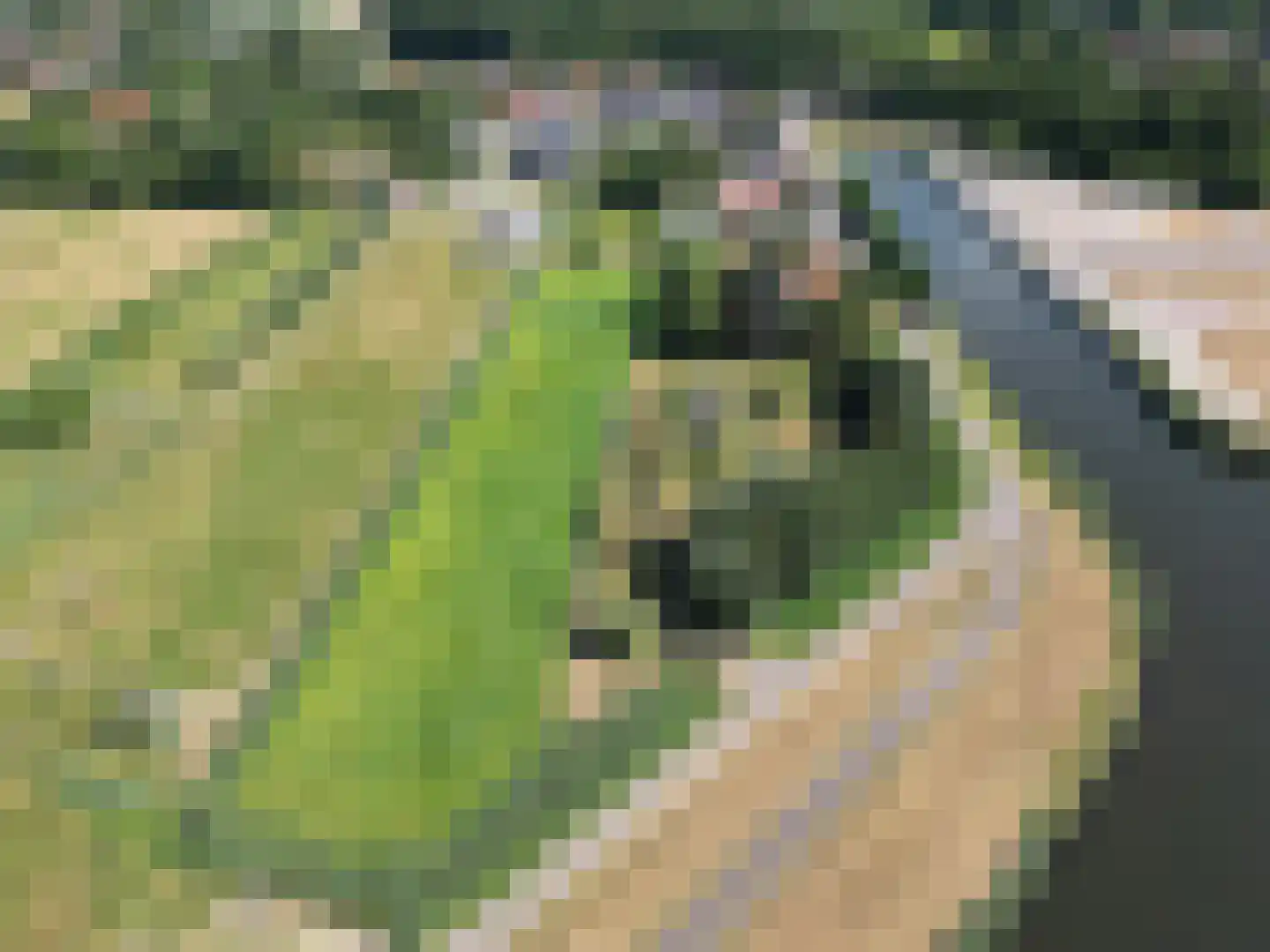 Klein Kanaalweg 20 Westdorpe thumbnail 49