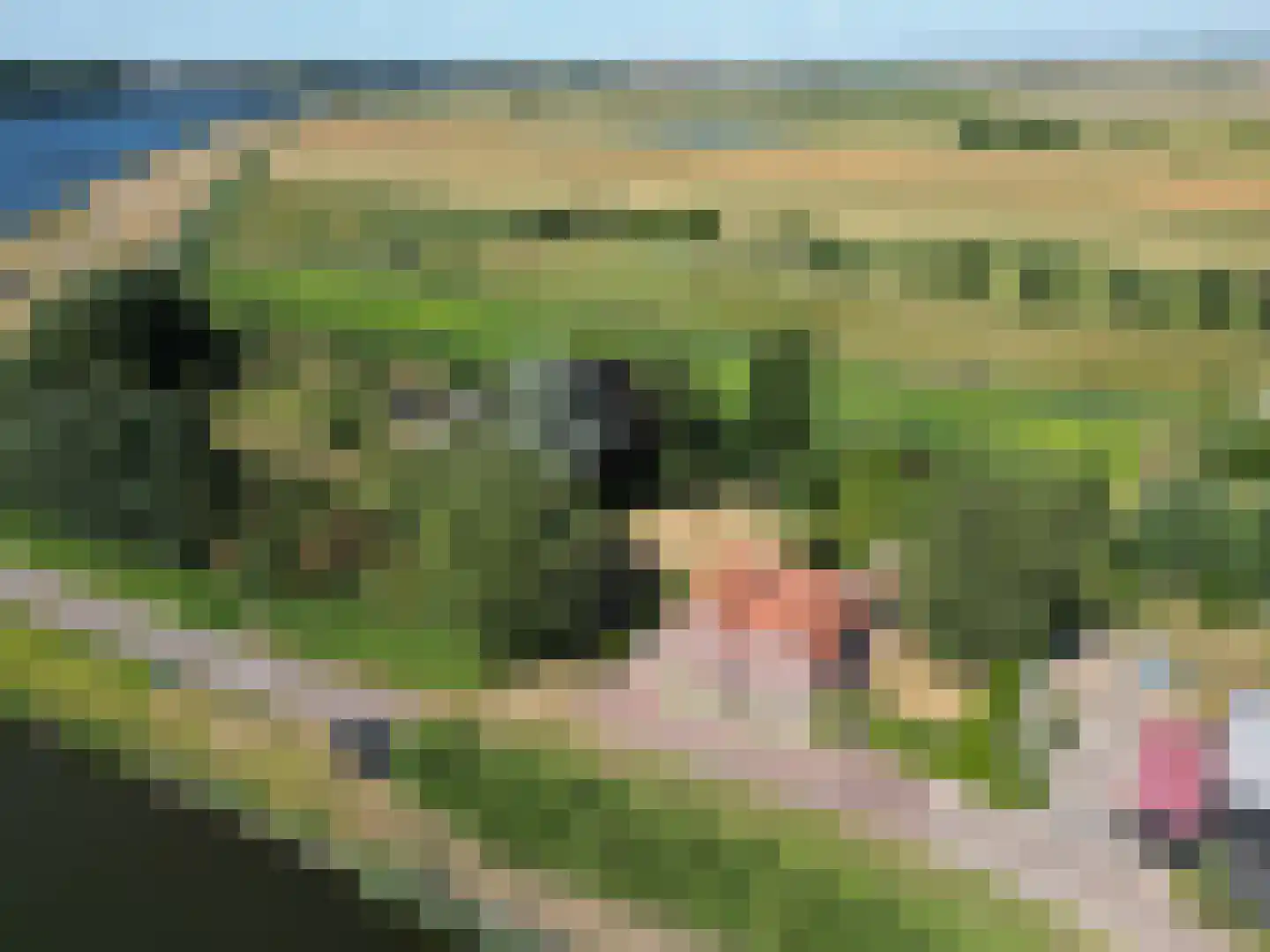 Klein Kanaalweg 20 Westdorpe thumbnail 50