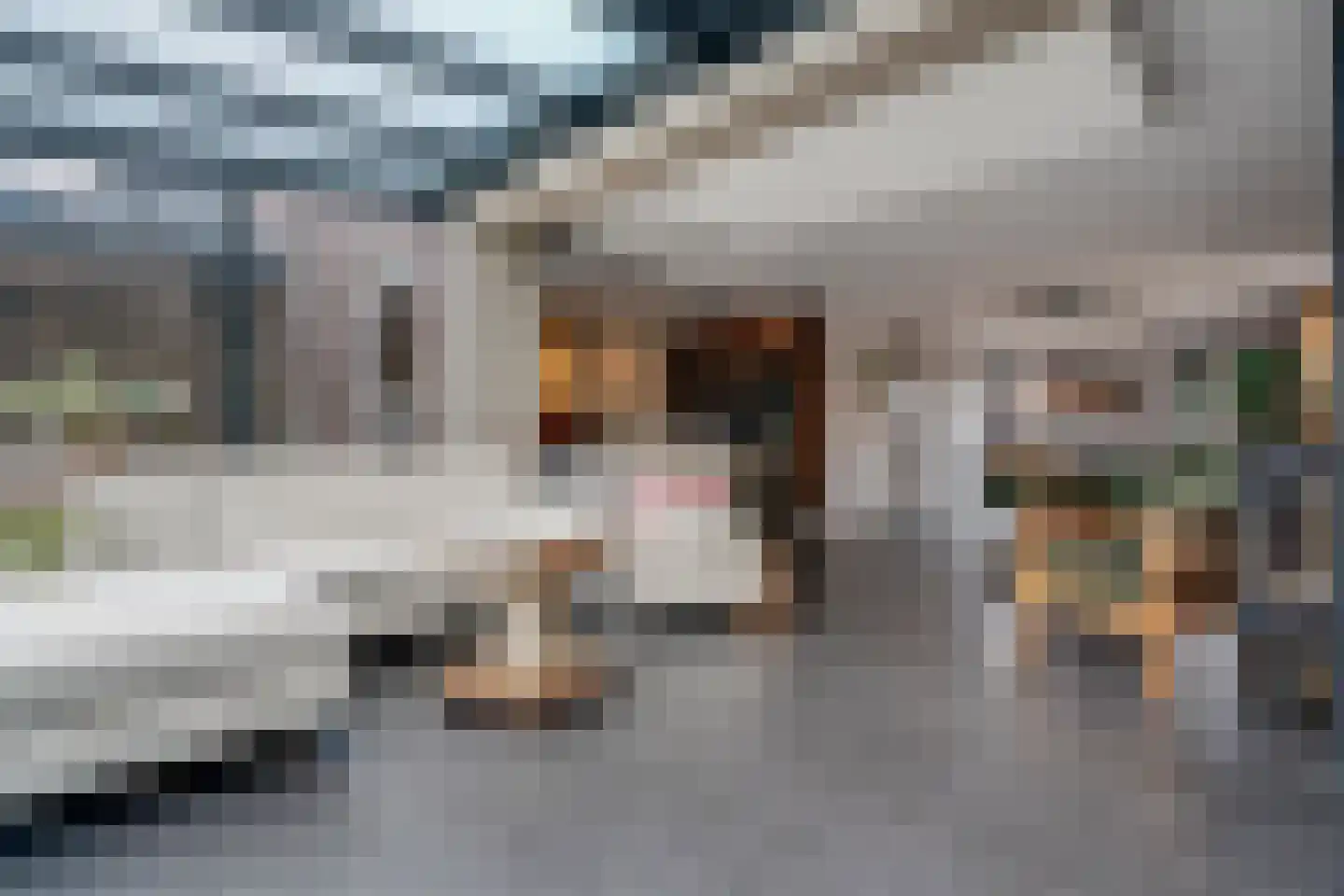 Klein Lageland 1 c Zwartsluis thumbnail 24
