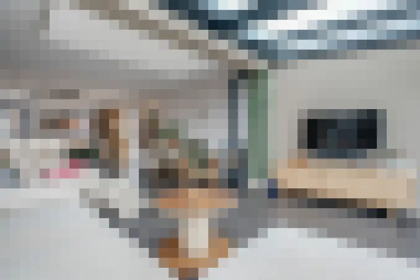 Klein Lageland 1 c Zwartsluis thumbnail 25