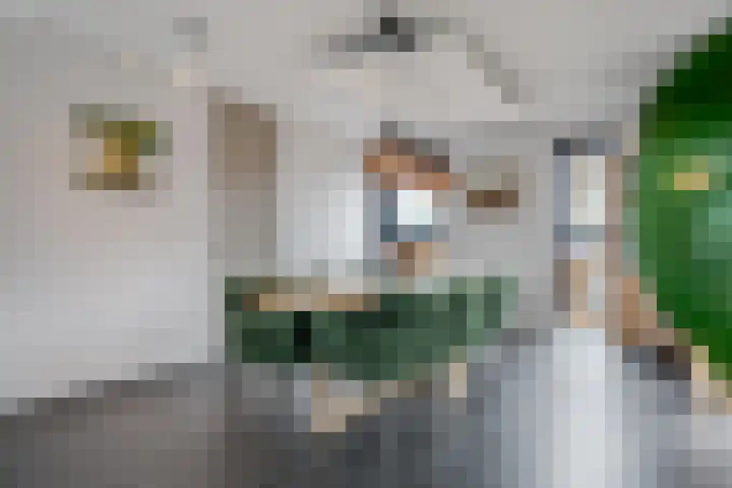 Klein Lageland 1 c Zwartsluis thumbnail 26