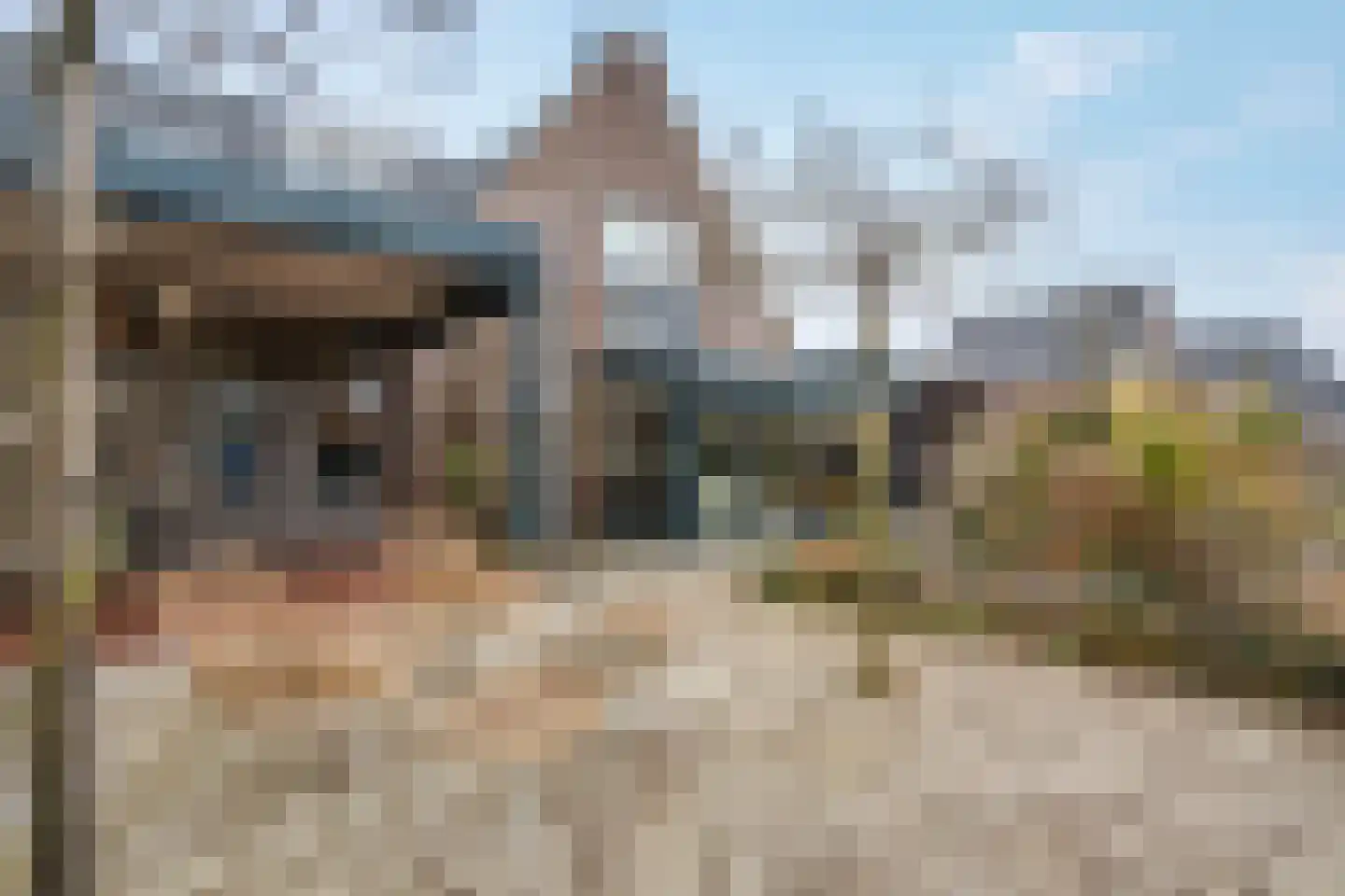 Klein Lageland 1 c Zwartsluis thumbnail 31