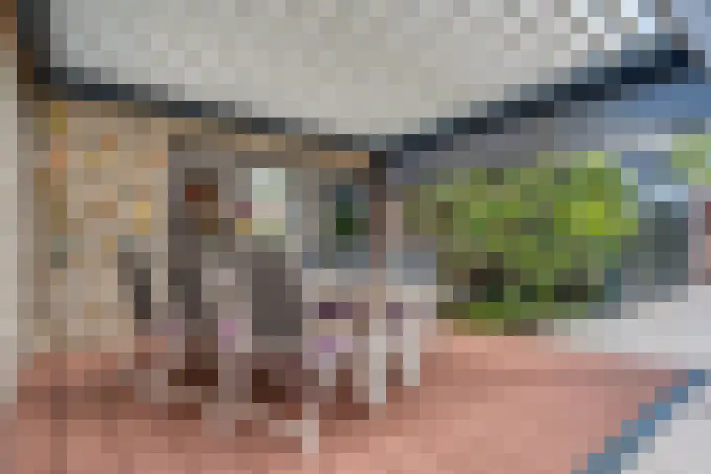 Klein Lageland 1 c Zwartsluis thumbnail 33