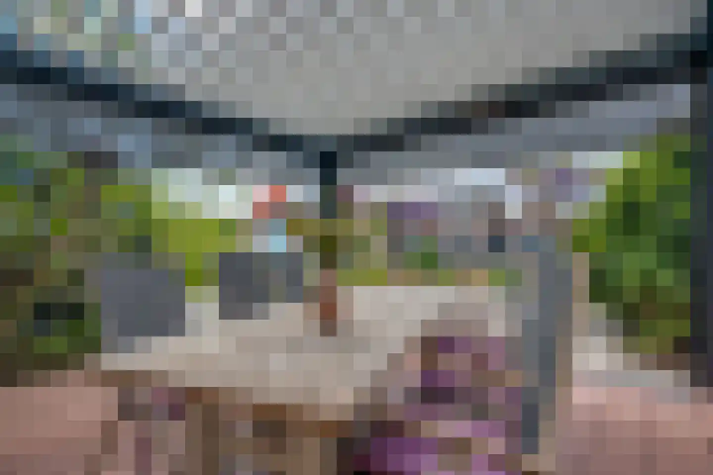 Klein Lageland 1 c Zwartsluis thumbnail 35