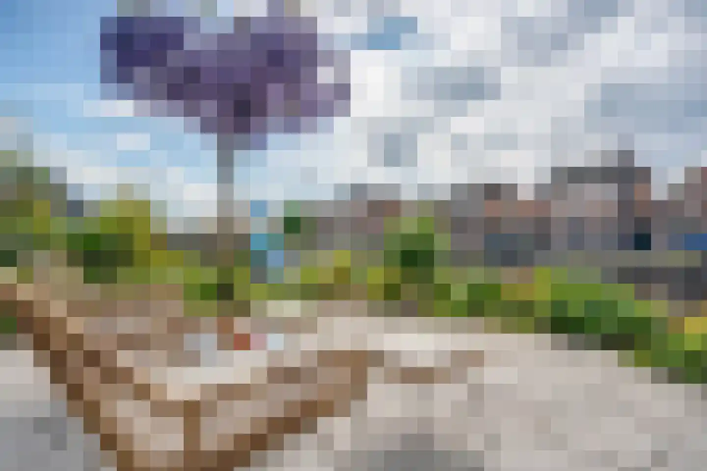 Klein Lageland 1 c Zwartsluis thumbnail 37