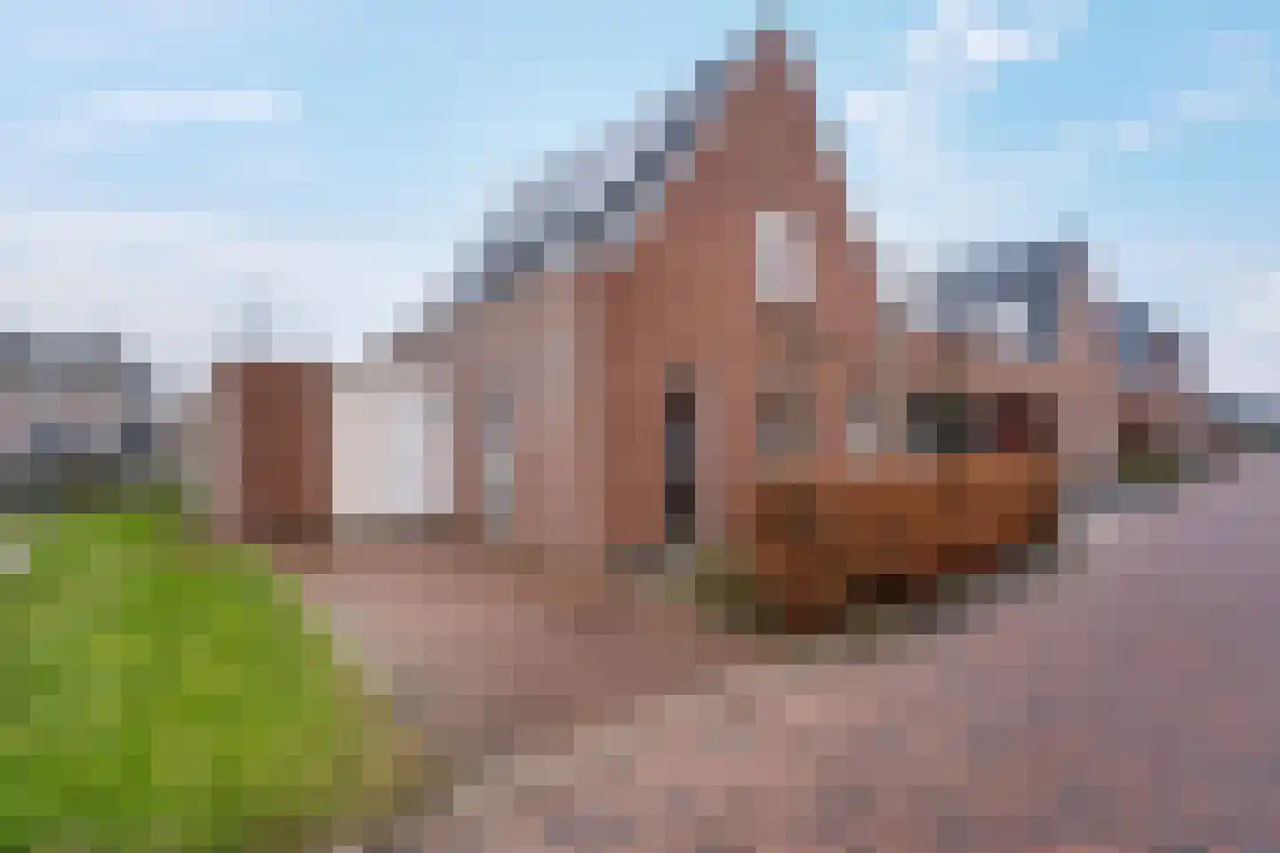 Klein Lageland 1 c Zwartsluis thumbnail 4