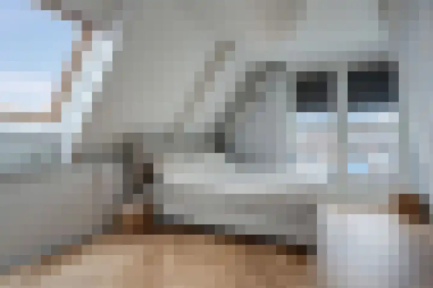 Klein Lageland 1 c Zwartsluis thumbnail 46