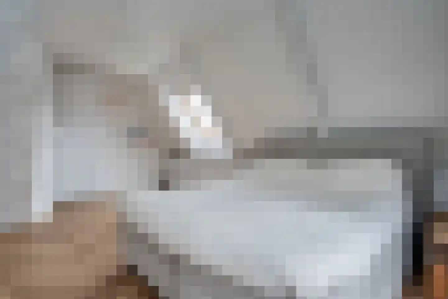 Klein Lageland 1 c Zwartsluis thumbnail 47