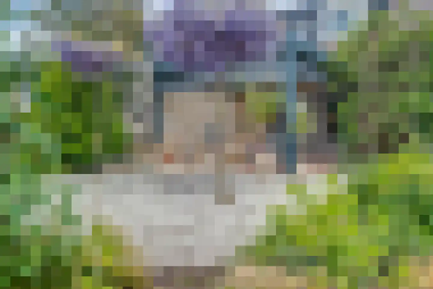 Klein Lageland 1 c Zwartsluis thumbnail 49
