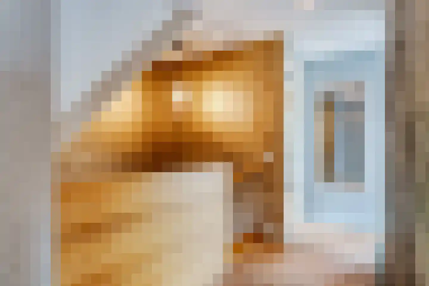 Klein Lageland 1 c Zwartsluis thumbnail 50
