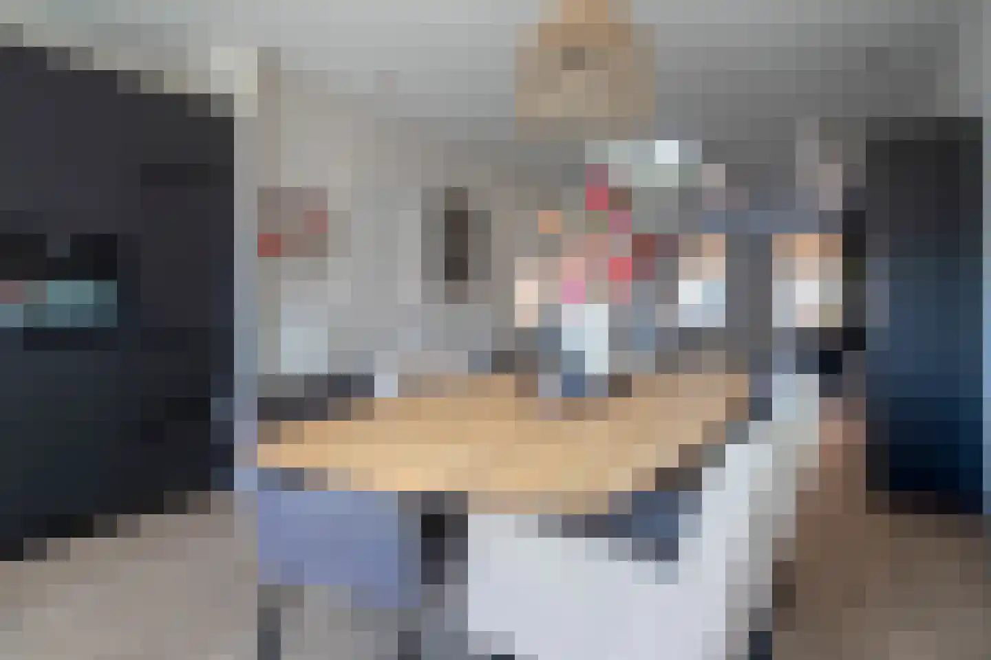 Klein Lageland 22 Zwartsluis thumbnail 19