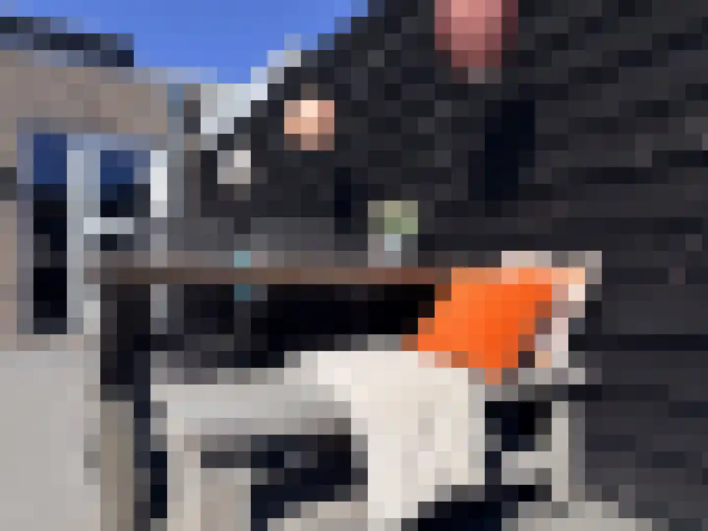 Klein Lageland 22 Zwartsluis thumbnail 35