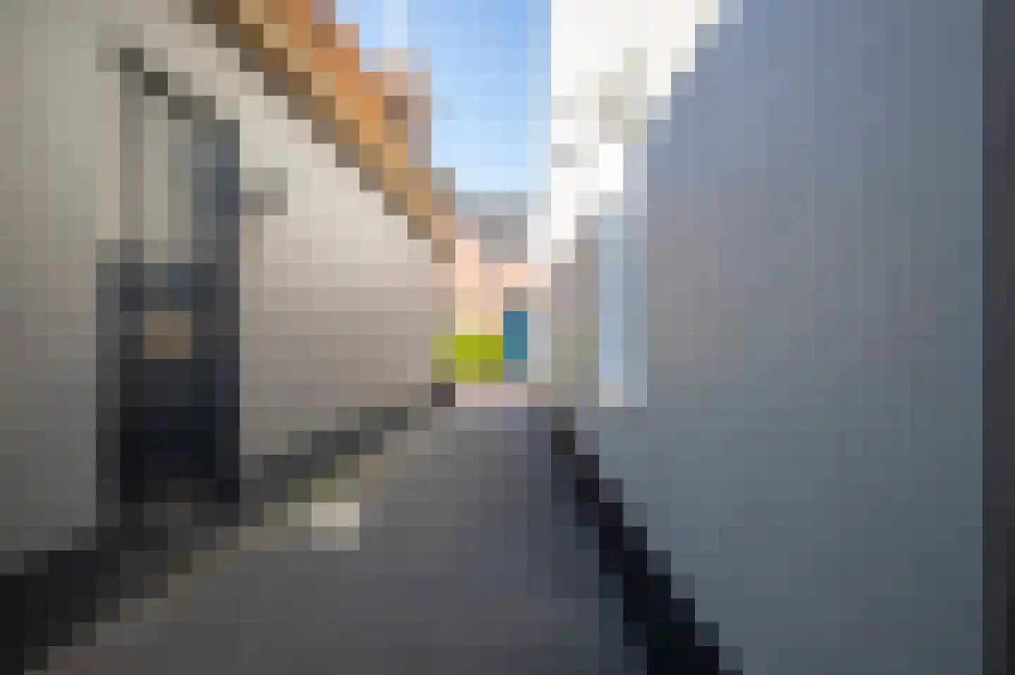 Klein Lageland 22 Zwartsluis thumbnail 36