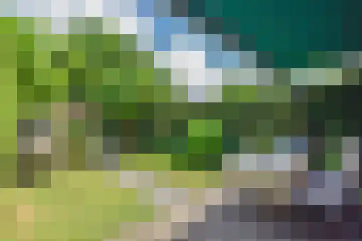 Klein Laren 3 Laren thumbnail 16