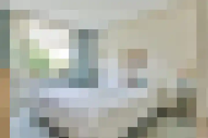 Klein Laren 3 Laren thumbnail 21